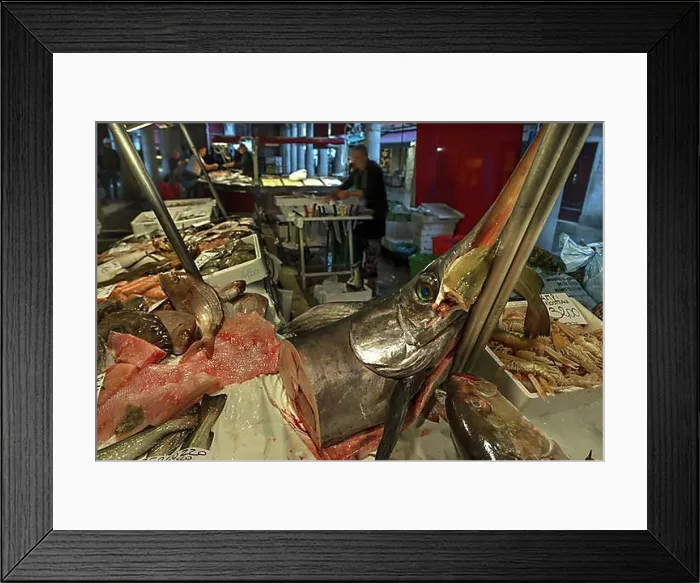 Framed Print : Fresh Swordfish (Xiphias gladius), fish market, Rialto market in the San Polo district, Venice, Veneto, Italy, Europe Framed Print : Fresh Swordfish (Xiphias gladius), fish market, Rialto market in the San Polo district, Venice, Veneto, Italy, Europe