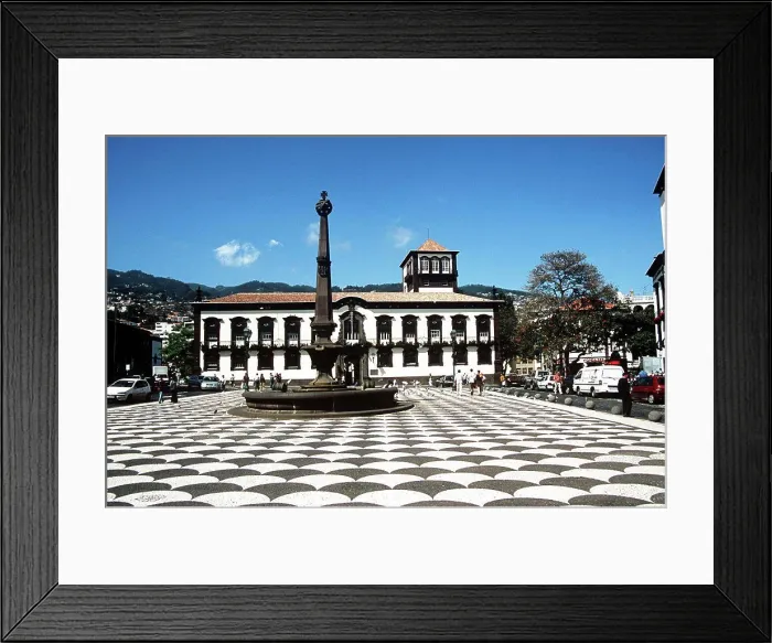 Framed Print : Town Hall, Camara Municipal, Municipal Square, Praca Do Municipio, Funchal, Madeira