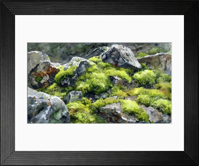 Framed Print : A watercolor painting depicting a close-up view of moss-covered rocks in a forest setting Framed Print : A watercolor painting depicting a close-up view of moss-covered rocks in a forest setting