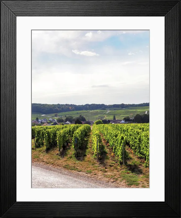 Framed Print : Oger, Champagne, Marne, France, Europe Framed Print : Oger, Champagne, Marne, France, Europe