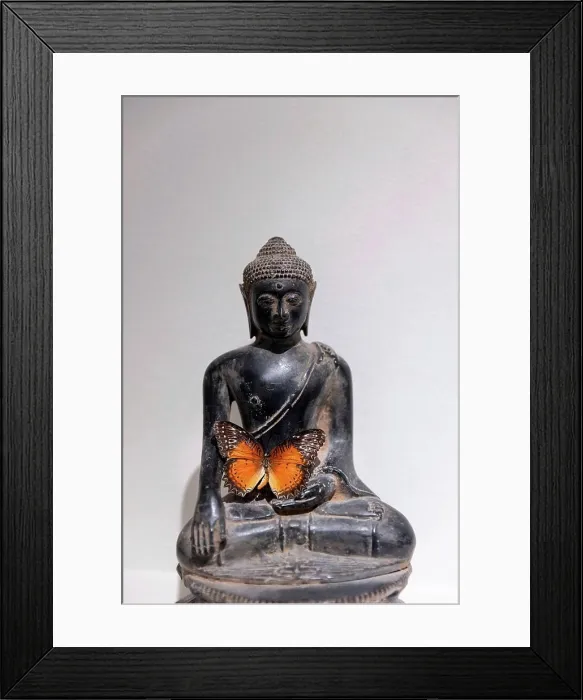 Framed Print : Orange butterfly on a Buddha figure