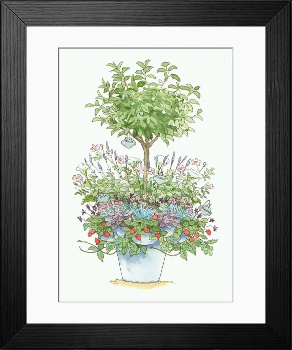 Framed Print : Various plants in pot Framed Print : Various plants in pot