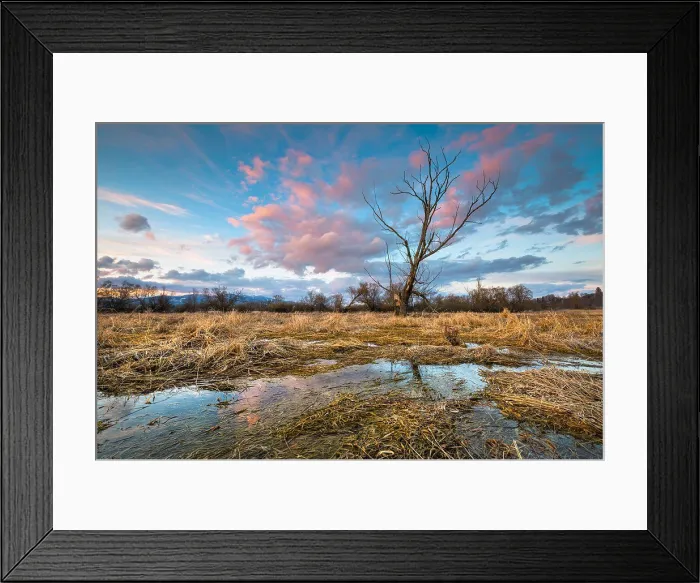 Framed Print : Sunset over the wetland of river Turiec in Slovakia Framed Print : Sunset over the wetland of river Turiec in Slovakia