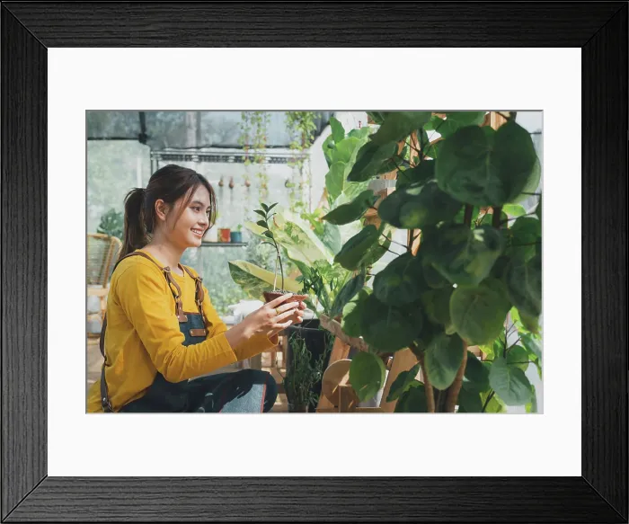 Framed Print : Home gardening, love of plants and care. Small business Framed Print : Home gardening, love of plants and care. Small business