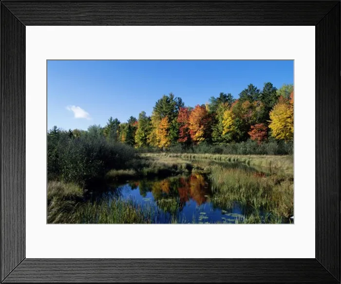 Framed Print : Reflection of trees in water, Wisconsin, USA Framed Print : Reflection of trees in water, Wisconsin, USA