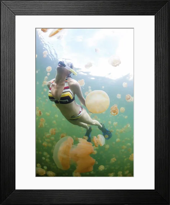 Framed Print : Micronesia, Caroline Islands, Palau Framed Print : Micronesia, Caroline Islands, Palau