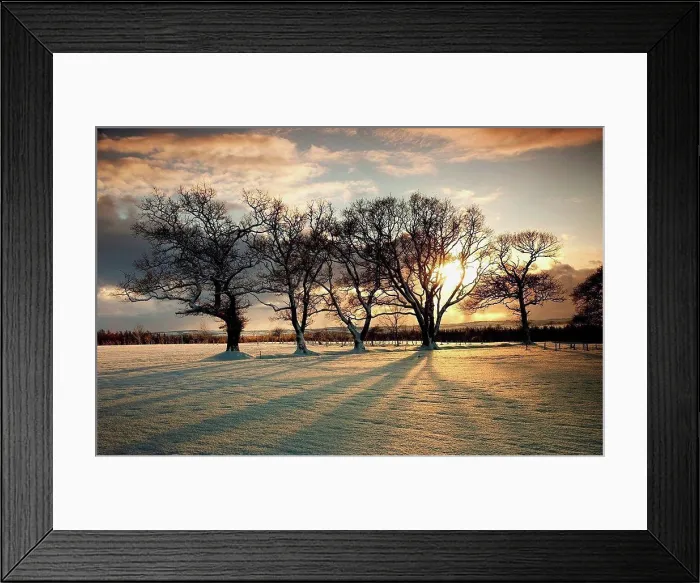 Framed Print : northumberland, england, sun setting over a field and trees Framed Print : northumberland, england, sun setting over a field and trees