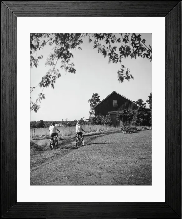 Framed Print : Rear view of two girls riding bicycles Framed Print : Rear view of two girls riding bicycles