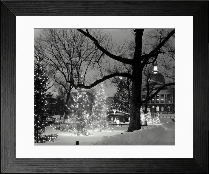 Framed Print : Decorated Christmas trees lit up at night Framed Print : Decorated Christmas trees lit up at night