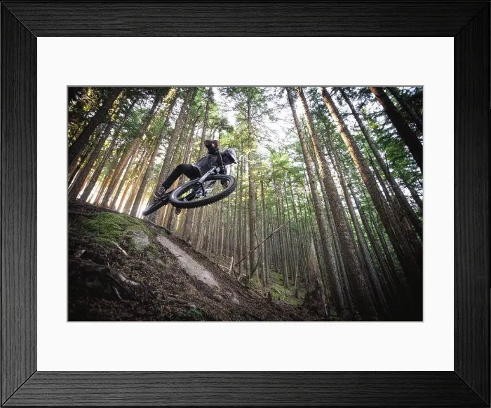 Framed Print : Mountain biker jumps down trails in north bend Washington Framed Print : Mountain biker jumps down trails in north bend Washington