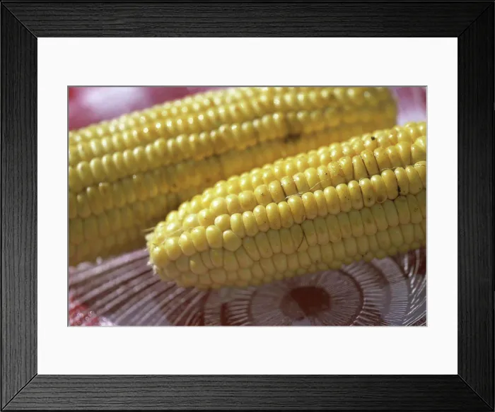 Framed Print : Close-up of corn on the cob Framed Print : Close-up of corn on the cob
