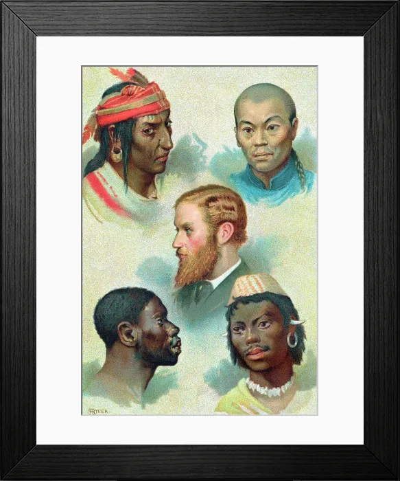 Framed Print : Five types into whichthe German doctor and physiologist Johann Freidrich Blumenbach (1752-1840) divided the human race