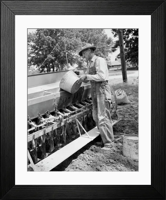 Framed Print : Mature man loading grinds into sowing machine Framed Print : Mature man loading grinds into sowing machine