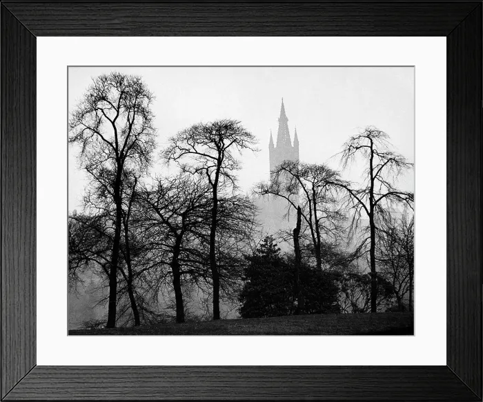 Framed Print : Scotland, Glasgow, Glasgow University, silhouettes of trees on the foreground Framed Print : Scotland, Glasgow, Glasgow University, silhouettes of trees on the foreground