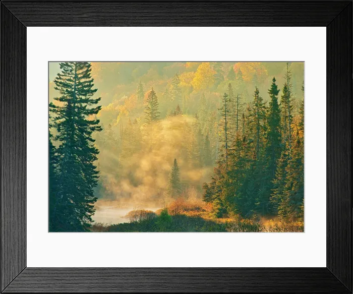 Framed Print : Morning fog rising above a creek in the boreal forest. Lake Superior Provincial Park Ontario Canada Framed Print : Morning fog rising above a creek in the boreal forest. Lake Superior Provincial Park Ontario Canada