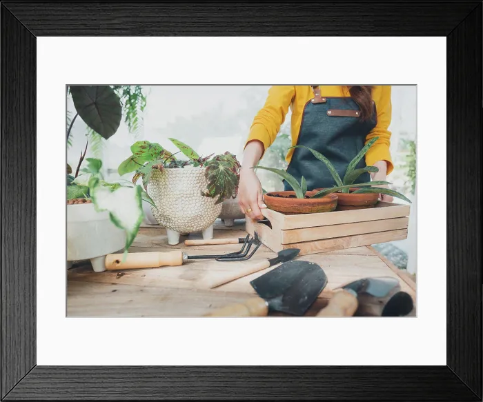 Framed Print : Home gardening, love of plants and care. Small business Framed Print : Home gardening, love of plants and care. Small business