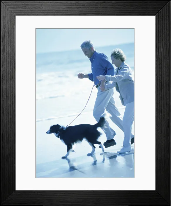 Framed Print : Senior couple walking with a dog on the beach Framed Print : Senior couple walking with a dog on the beach