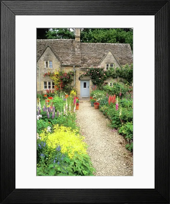 Framed Print : Bibury Cotswolds english cottage garden in summer Gloucestershire Glos England UK United Kingdom GB Great Britain Framed Print : Bibury Cotswolds english cottage garden in summer Gloucestershire Glos England UK United Kingdom GB Great Britain