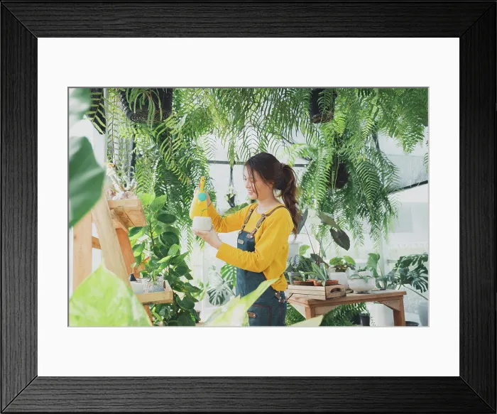 Framed Print : Home gardening, love of plants and care. Small business Framed Print : Home gardening, love of plants and care. Small business