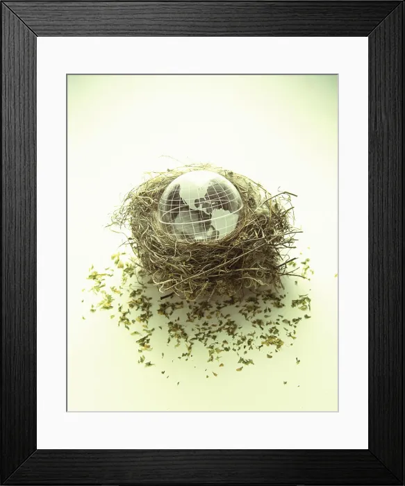 Framed Print : Globe in a bird's nest