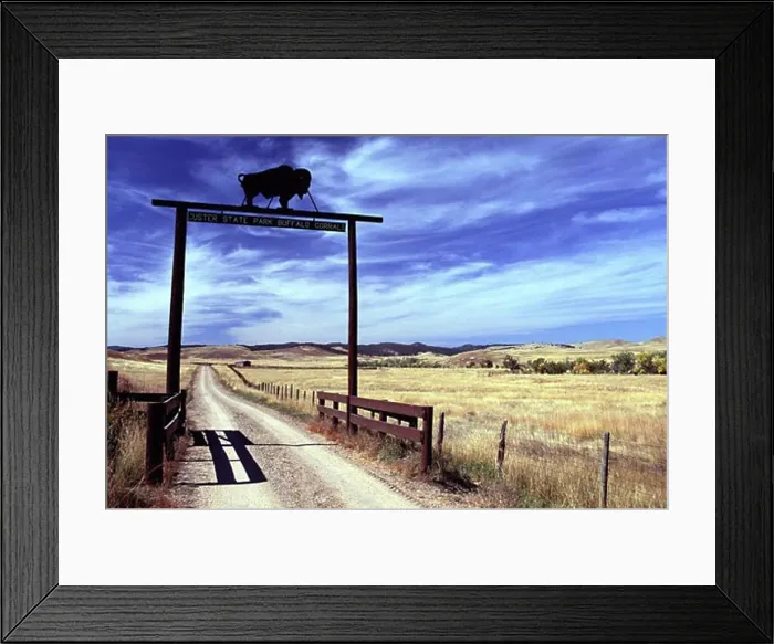 Framed Print : Buffalo Corrals Custer State Park South Dakota USA Framed Print : Buffalo Corrals Custer State Park South Dakota USA