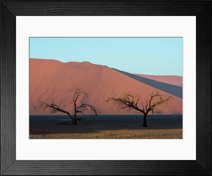 Framed Print : Dead trees in the Vlei at Dune 45 a sand dune in the Sossusvlei area, Namib-Naukluft National Park in Namibia Framed Print : Dead trees in the Vlei at Dune 45 a sand dune in the Sossusvlei area, Namib-Naukluft National Park in Namibia