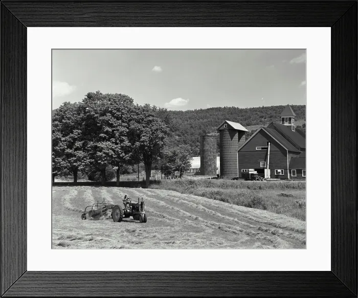 Framed Print : Tractor raking a field, East Ryegate, Vermont, USA
