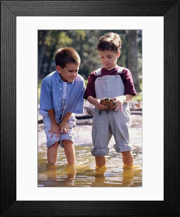 Framed Print : Two boys standing in water holding a turtle Framed Print : Two boys standing in water holding a turtle