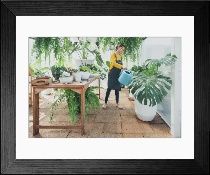 Framed Print : Home gardening, love of plants and care. Small business Framed Print : Home gardening, love of plants and care. Small business