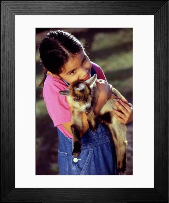 Framed Print : High angle view of a girl holding a kid goat in her arms Framed Print : High angle view of a girl holding a kid goat in her arms