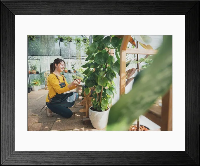 Framed Print : Home gardening, love of plants and care. Small business Framed Print : Home gardening, love of plants and care. Small business