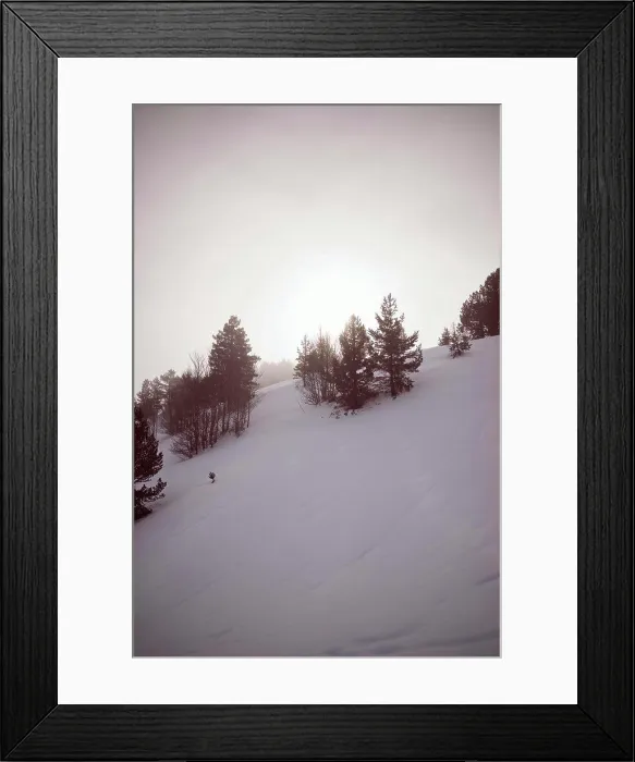 Framed Print : Snowy forest in the Pyrenees, Aspe Valley in France Framed Print : Snowy forest in the Pyrenees, Aspe Valley in France