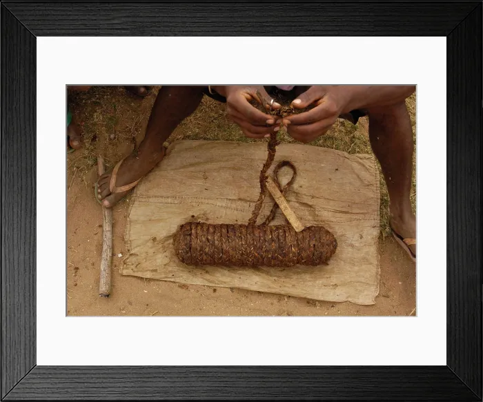 Framed Print : String of braided tabacco leaves Framed Print : String of braided tabacco leaves