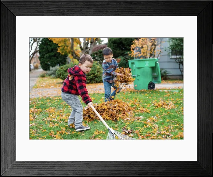 Framed Print : Brothers working together to rake leaves in yard Framed Print : Brothers working together to rake leaves in yard