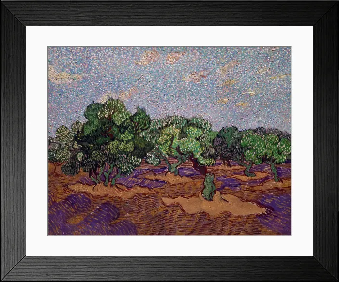 Framed Print : Vincent van Gogh; Dutch; Zundert 1853-1890 Auvers-sur-Oise; Olive Trees; 1889; Oil on canvas
