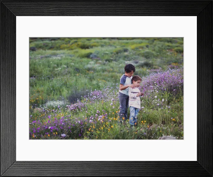 Framed Print : Two brothers playing on a field of wild flowers Framed Print : Two brothers playing on a field of wild flowers