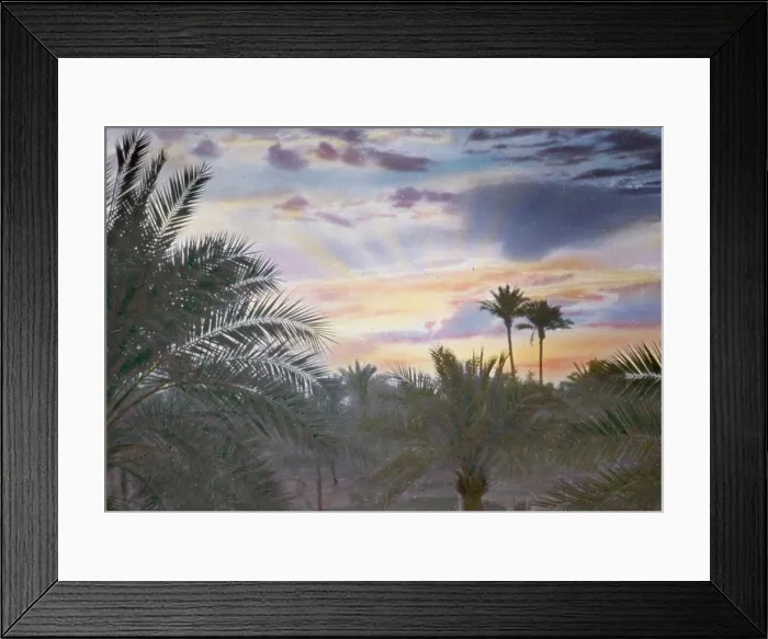 Framed Print : Iraq (Babylonia) Baghdad, sunrise seen through palm groves from Y.M.C.A. building. 1950, Iraq, Baghdad Framed Print : Iraq (Babylonia) Baghdad, sunrise seen through palm groves from Y.M.C.A. building. 1950, Iraq, Baghdad