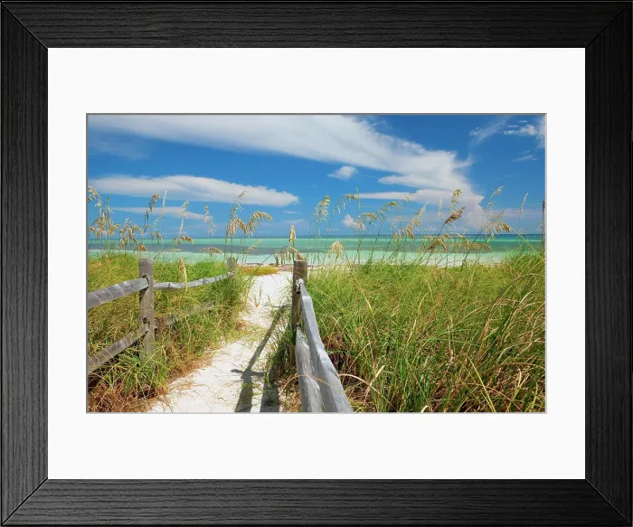 Framed Print : Sea oats (Uniola paniculata) growing by beach, Bahia Honda State Park, Florida keys, USA Framed Print : Sea oats (Uniola paniculata) growing by beach, Bahia Honda State Park, Florida keys, USA