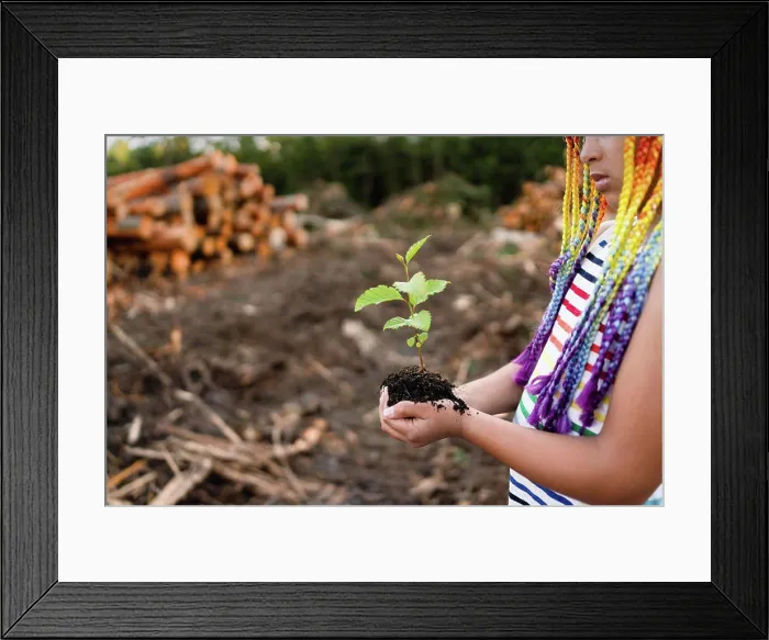 Framed Print : Sapling rests in hands of girl with rainbow braids Framed Print : Sapling rests in hands of girl with rainbow braids