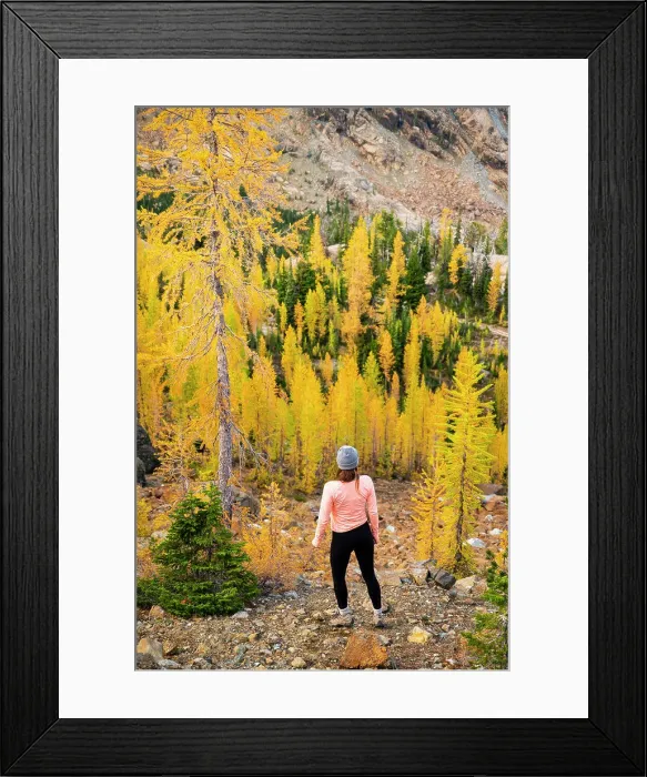 Framed Print : Female posing in a forest of larches in the alpine lakes wilderness