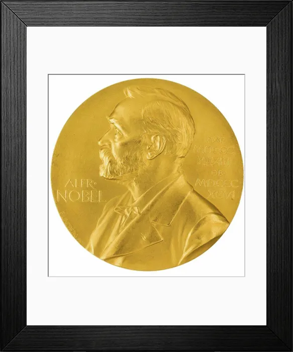 Framed Print : The Nobel Prize Medal for Physics, Chemistry, Medicine and Literature, Lindberg, Erik (1873-1966)