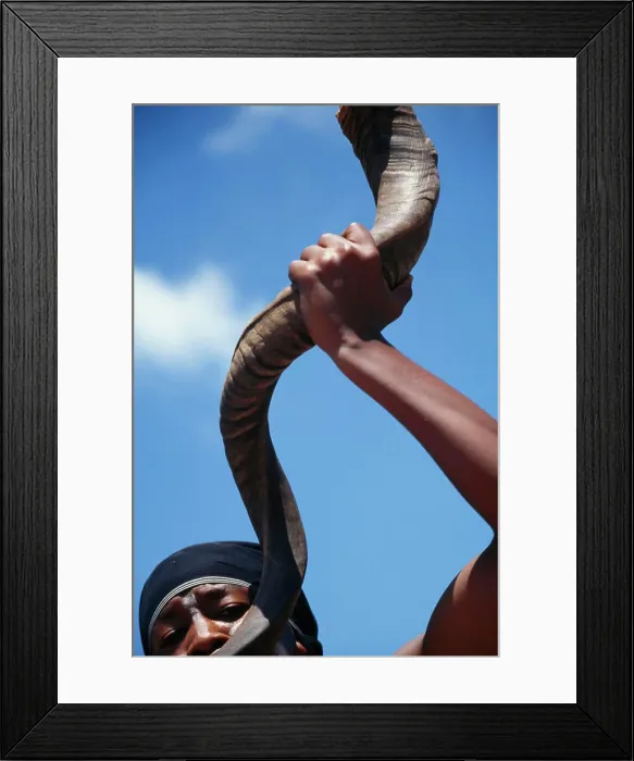 Framed Print : Shamwari Game Reserve Framed Print : Shamwari Game Reserve