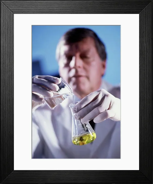 Framed Print : Male researcher pouring liquid from a measuring beaker into a conical flask Framed Print : Male researcher pouring liquid from a measuring beaker into a conical flask