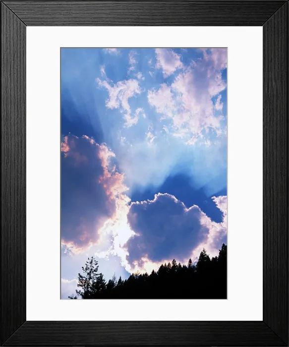 Framed Print : Forest fire, West Kootenays near Cranbrook, British Columbia, Canada Framed Print : Forest fire, West Kootenays near Cranbrook, British Columbia, Canada