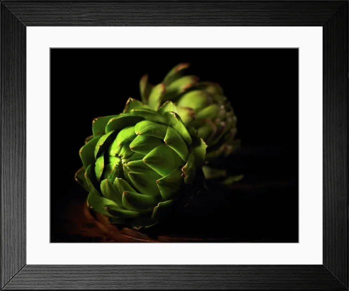 Framed Print : Cynara scolymus, Globe artichoke, Green subject, Black background Framed Print : Cynara scolymus, Globe artichoke, Green subject, Black background
