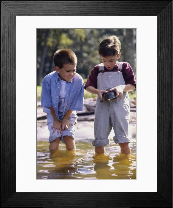 Framed Print : Two boys standing in water holding a turtle Framed Print : Two boys standing in water holding a turtle