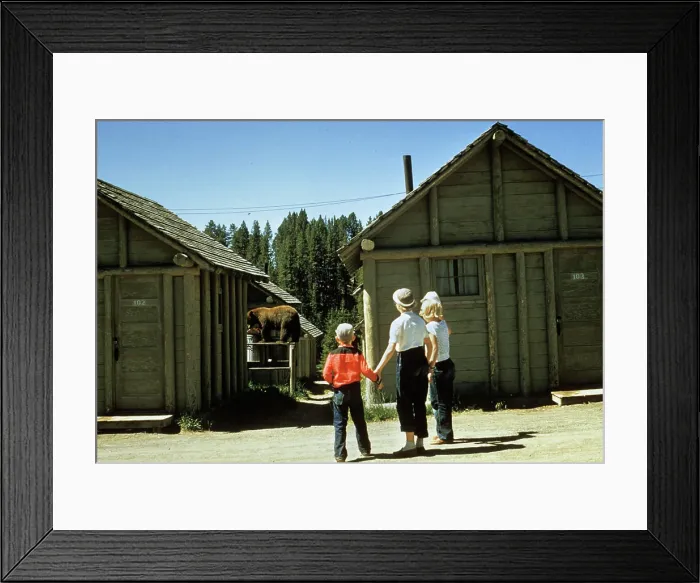 Framed Print : 1950S Mother And Children Visiting Yellowstone National Park Wyoming 1956, Looking At Bear Behind Cabins