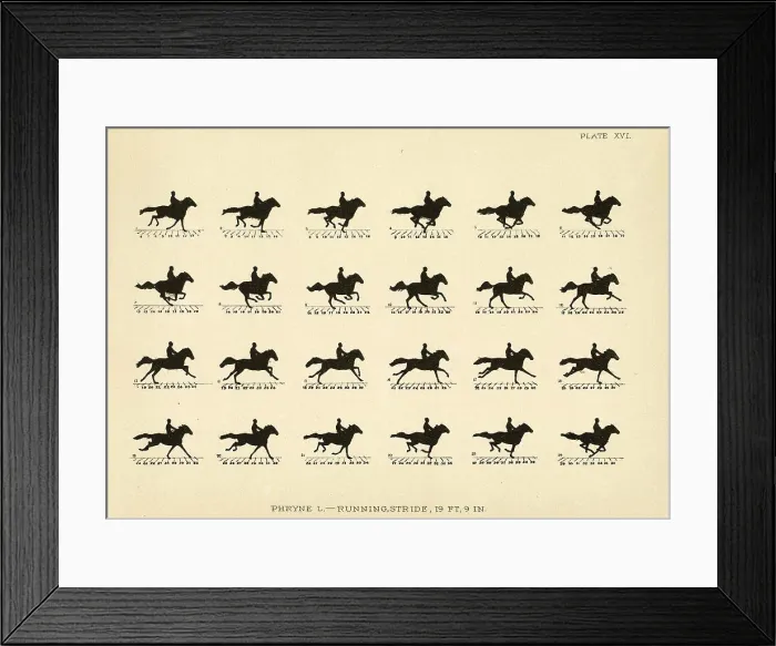 Framed Print : Eadweard Muybridge (American, born England) Framed Print : Eadweard Muybridge (American, born England)