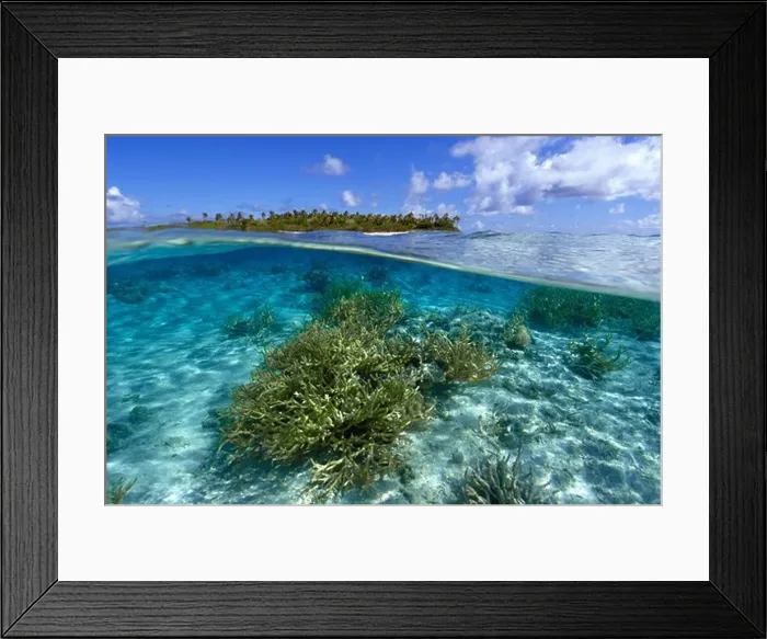 Framed Print : Pacific, Ailuk atoll, Marshall Islands, Split image of staghorn coral, Acropora sp. and uninhabited island