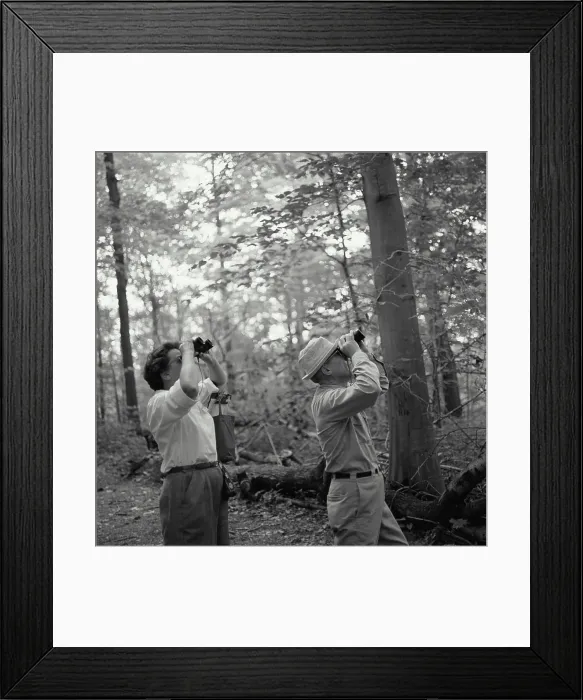 Framed Print : Mid adult couple looking through binoculars in a forest Framed Print : Mid adult couple looking through binoculars in a forest